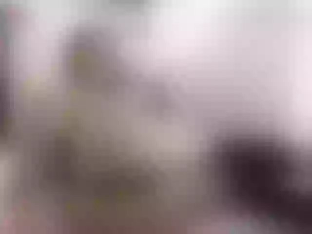 Live sex webcam photo for KateAnne #273787892