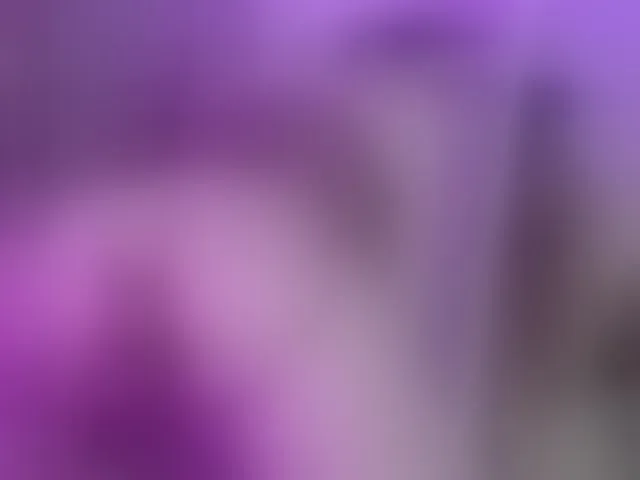 Live sex webcam photo for KateJolly #291357155