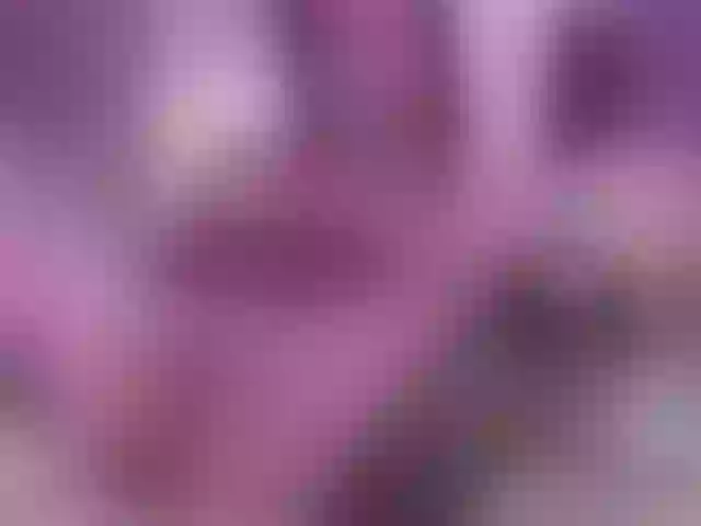 Live sex webcam photo for KateJolly #291448204
