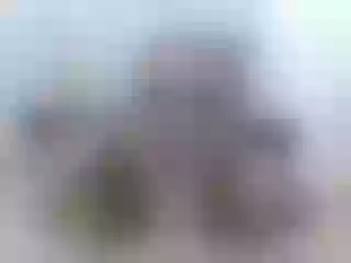 Live sex webcam photo for KateMichael #221331824
