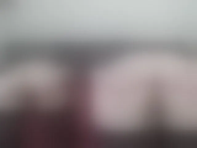 Live sex webcam photo for Kati000888