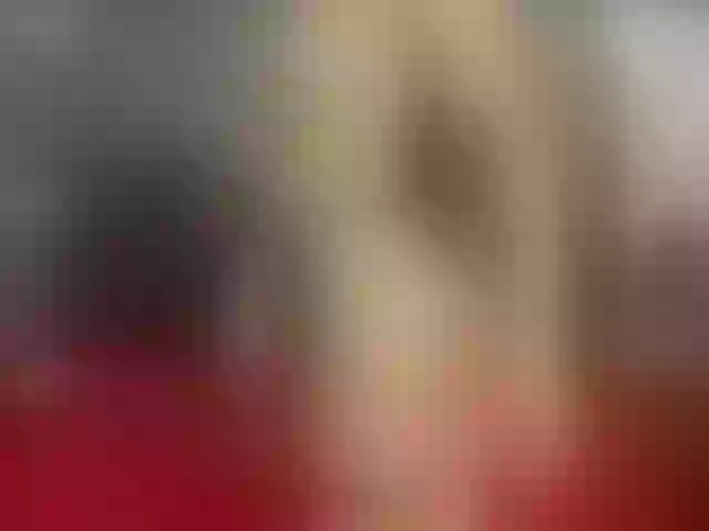 Live sex webcam photo for Katnissie22 #274663961