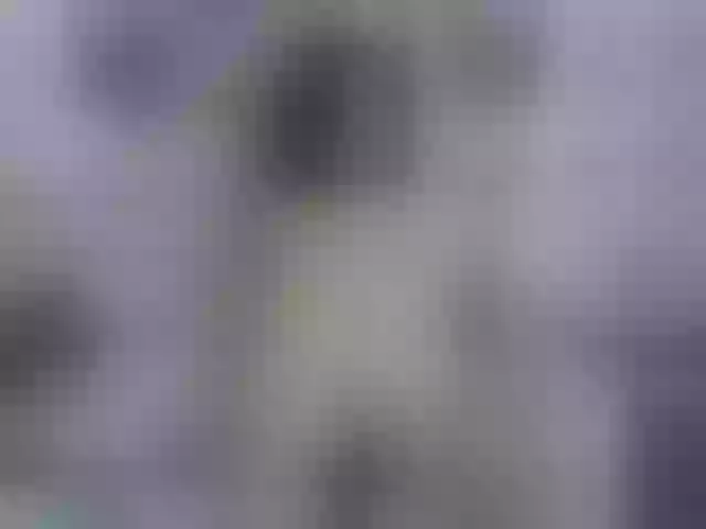 Live sex webcam photo for Katrin-66a #276737490