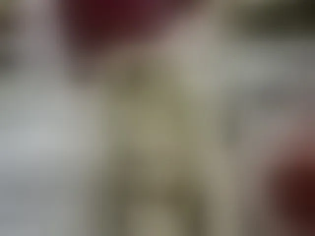 Live sex webcam photo for KatrinExcite #290141098