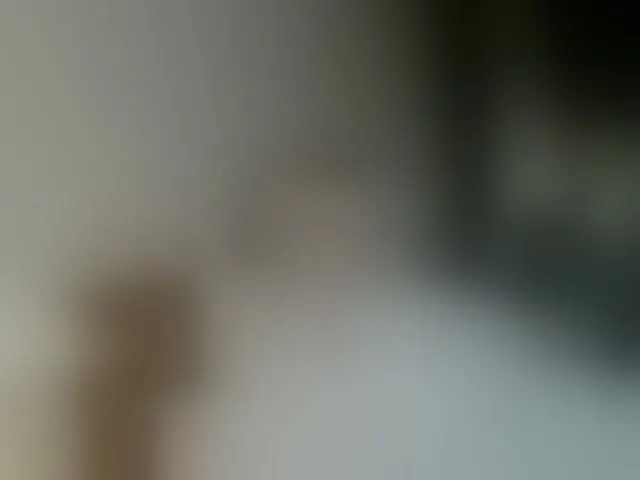 Live sex webcam photo for KatrinExcite #293083020