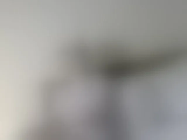 Live sex webcam photo for KatrinExcite #293159056