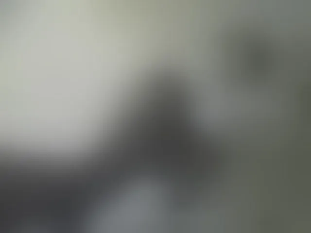 Live sex webcam photo for KatrinExcite #293298848