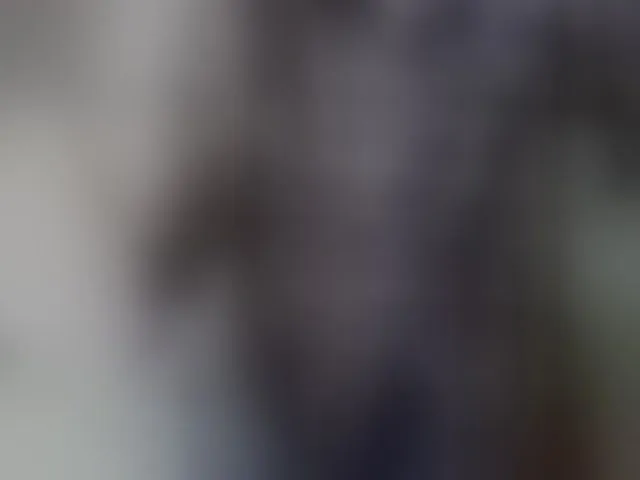 Live sex webcam photo for KatrinExcite #293791806