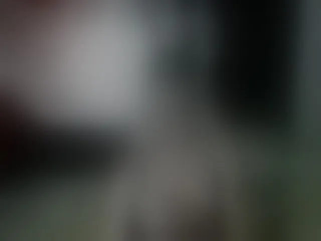 Live sex webcam photo for KatrinExcite #293818772