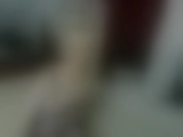 Live sex webcam photo for KatrinExcite #293906293