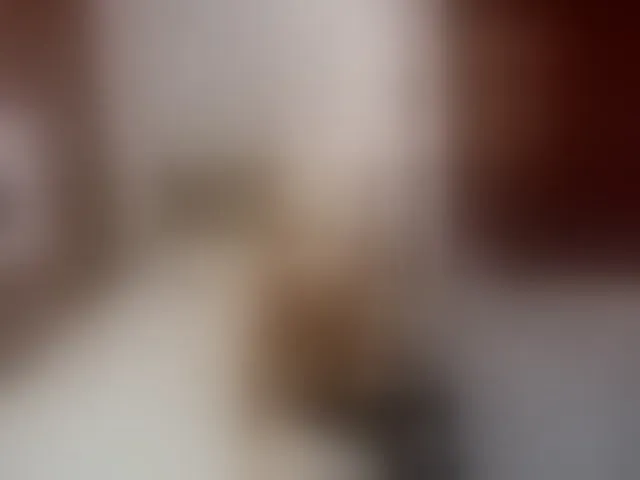 Live sex webcam photo for KatrinExcite #294253729