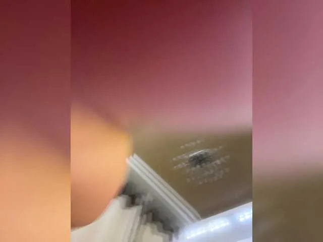 Live sex webcam photo for KatrineStorm #274274618