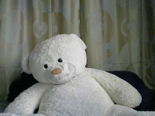 Live sex webcam photo for Katty-12 #276724337