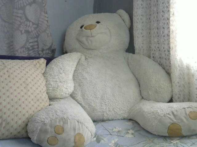 Live sex webcam photo for Katty-12 #277594783