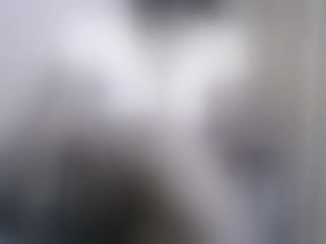 Live sex webcam photo for Katty-12 #292970444