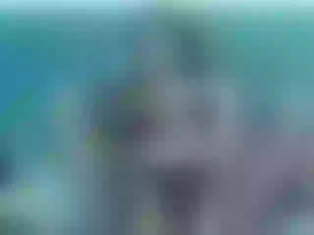Live sex webcam photo for KattyKiut #274050084
