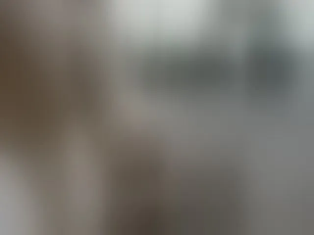 Live sex webcam photo for KatyKatS #293556143