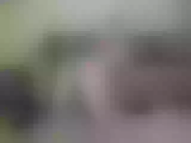 Live sex webcam photo for KatyPrincess #292038312