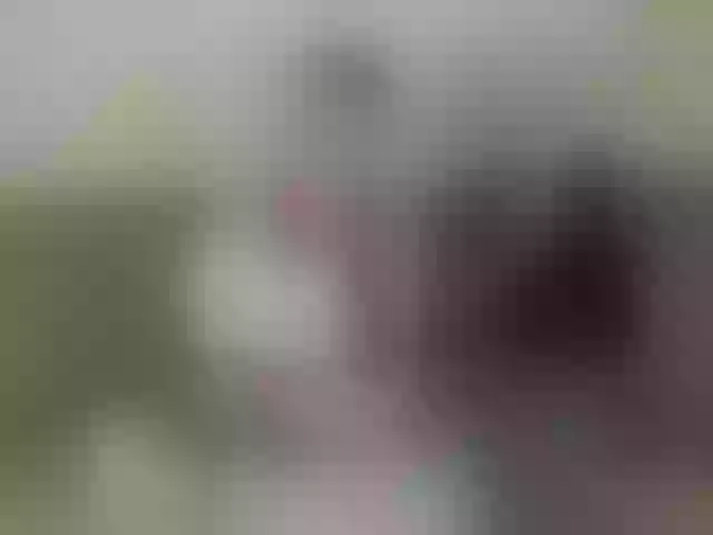 Live sex webcam photo for KatyPrincess #292178170