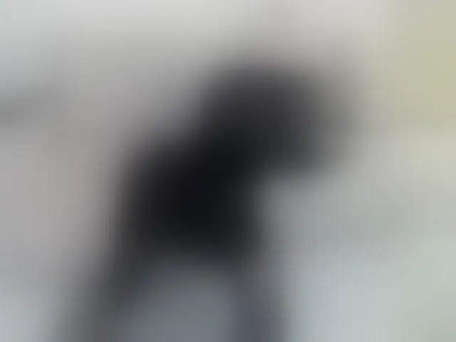 Live sex webcam photo for KatyPrincess #293276521