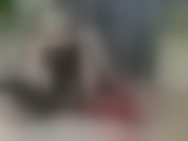 Live sex webcam photo for KatyPrincess #294335445