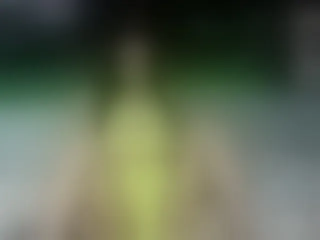 Live sex webcam photo for KaylaJoy #293094544