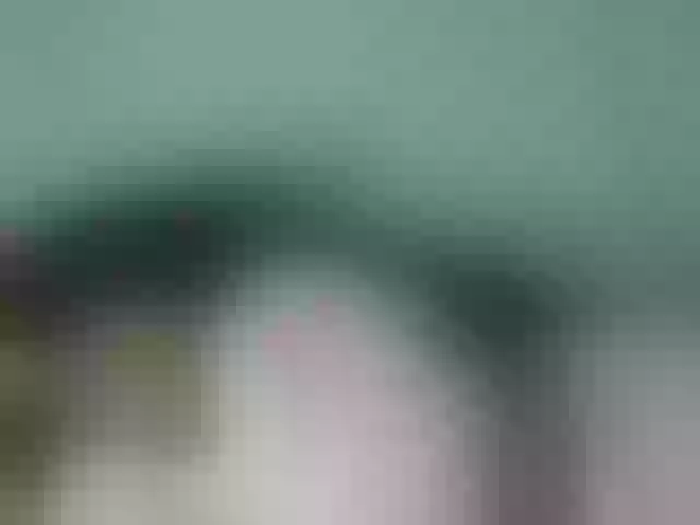 Live sex webcam photo for Kaysha12 #291880211