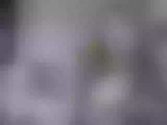Live sex webcam photo for Kazsandra #290742661