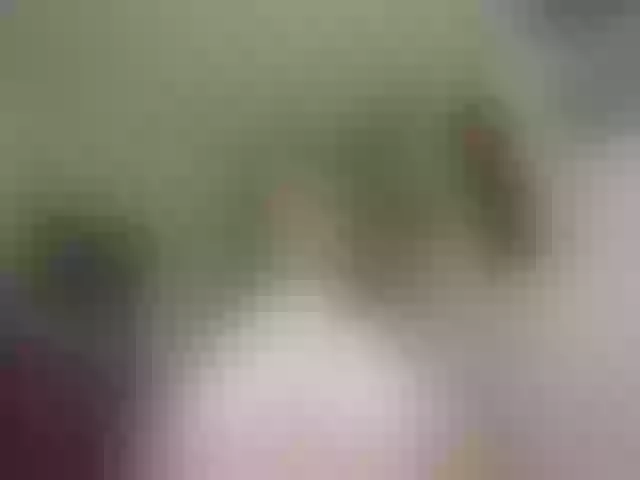 Live sex webcam photo for Kazsandra #292226355