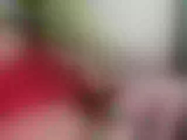 Live sex webcam photo for Kazsandra #292282713