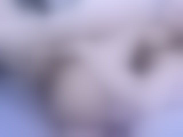 Live sex webcam photo for Keendall #294132528