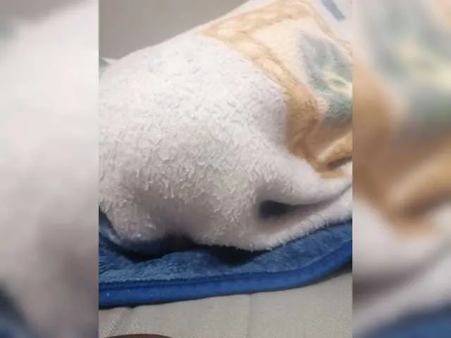 Live sex webcam photo for Keeper8 #276869448