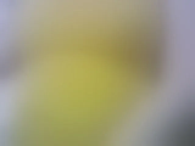Live sex webcam photo for KeepmepregO #292696783