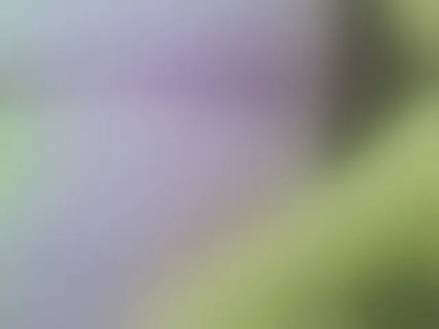 Live sex webcam photo for KeepmepregO #293837881