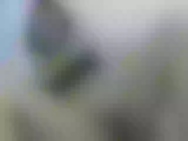 Live sex webcam photo for KeithBaker1 #273015495