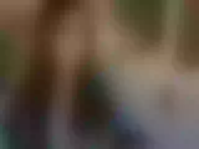 Live sex webcam photo for KellyMiller #292069460