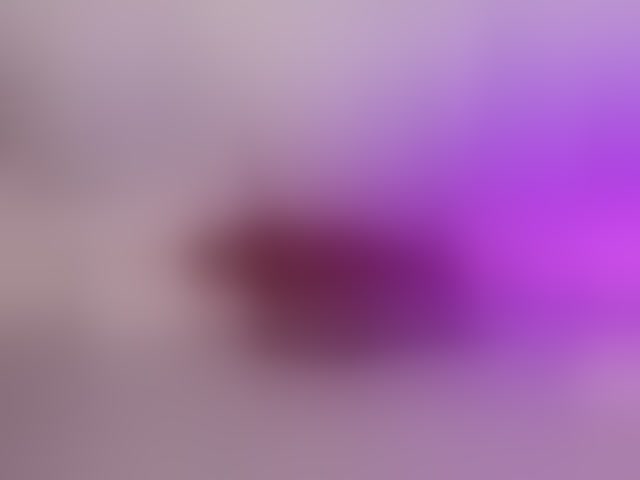 Live sex webcam photo for KellyMiller #294019182