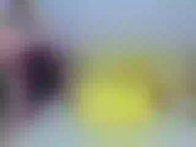 Live sex webcam photo for KelsiMorri #290416867