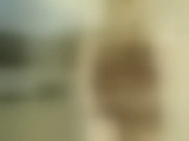 Live sex webcam photo for KendallCurkov #293828838