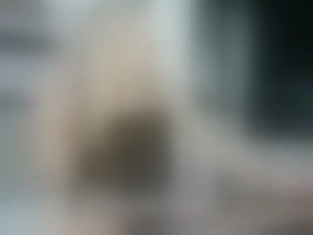 Live sex webcam photo for KendallCurkov #293928970