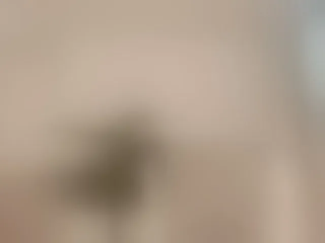 Live sex webcam photo for KendallRise #293266720