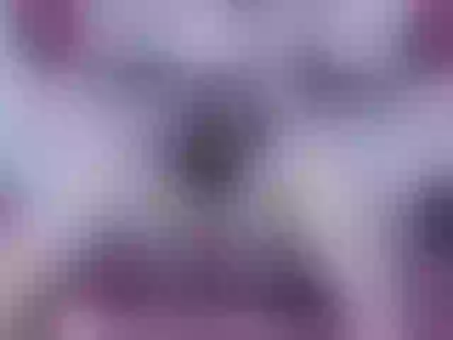 Live sex webcam photo for Kendra-live #271782536