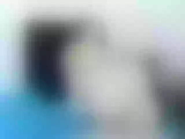 Live sex webcam photo for Kendraline #290898008