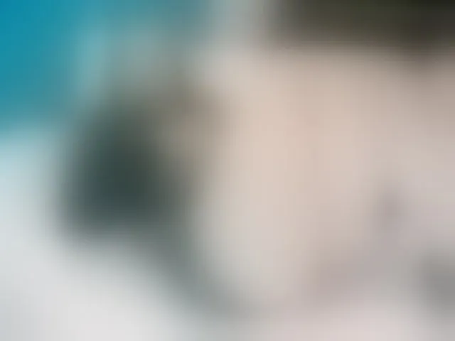 Live sex webcam photo for Kendraline #293646389