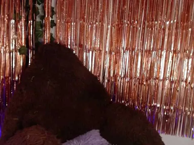 Live sex webcam photo for Kennygrace #276364916