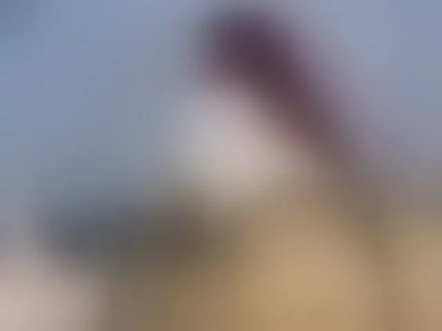 Live sex webcam photo for KetraWesttt #293440776