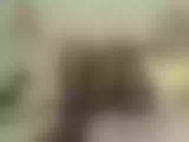 Live sex webcam photo for Ketty-pretty- #290393988
