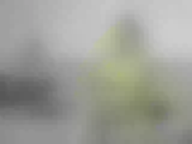 Live sex webcam photo for Ketty-pretty- #290804967