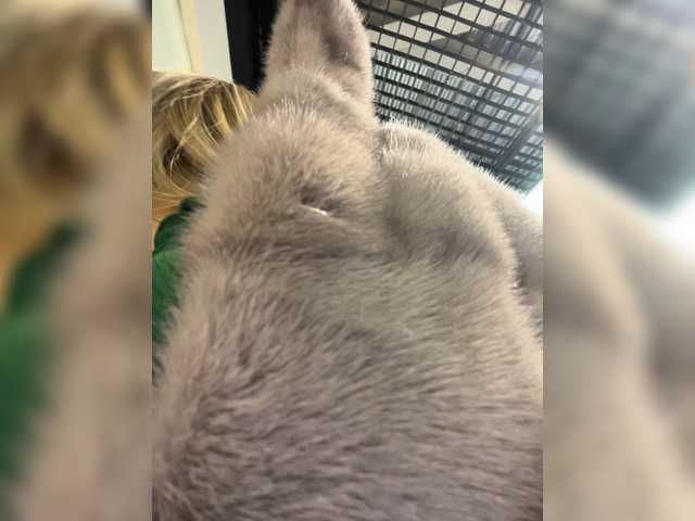 Live sex webcam photo for KettyPretty25 #272070288