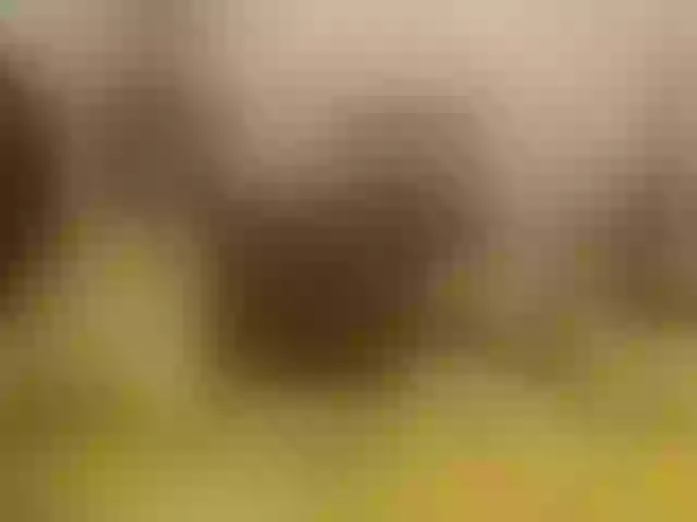 Live sex webcam photo for Keyla-rosse #292229261